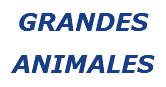 GRANDES ANIMALES