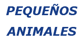 PEQUEÑOS ANIMALES